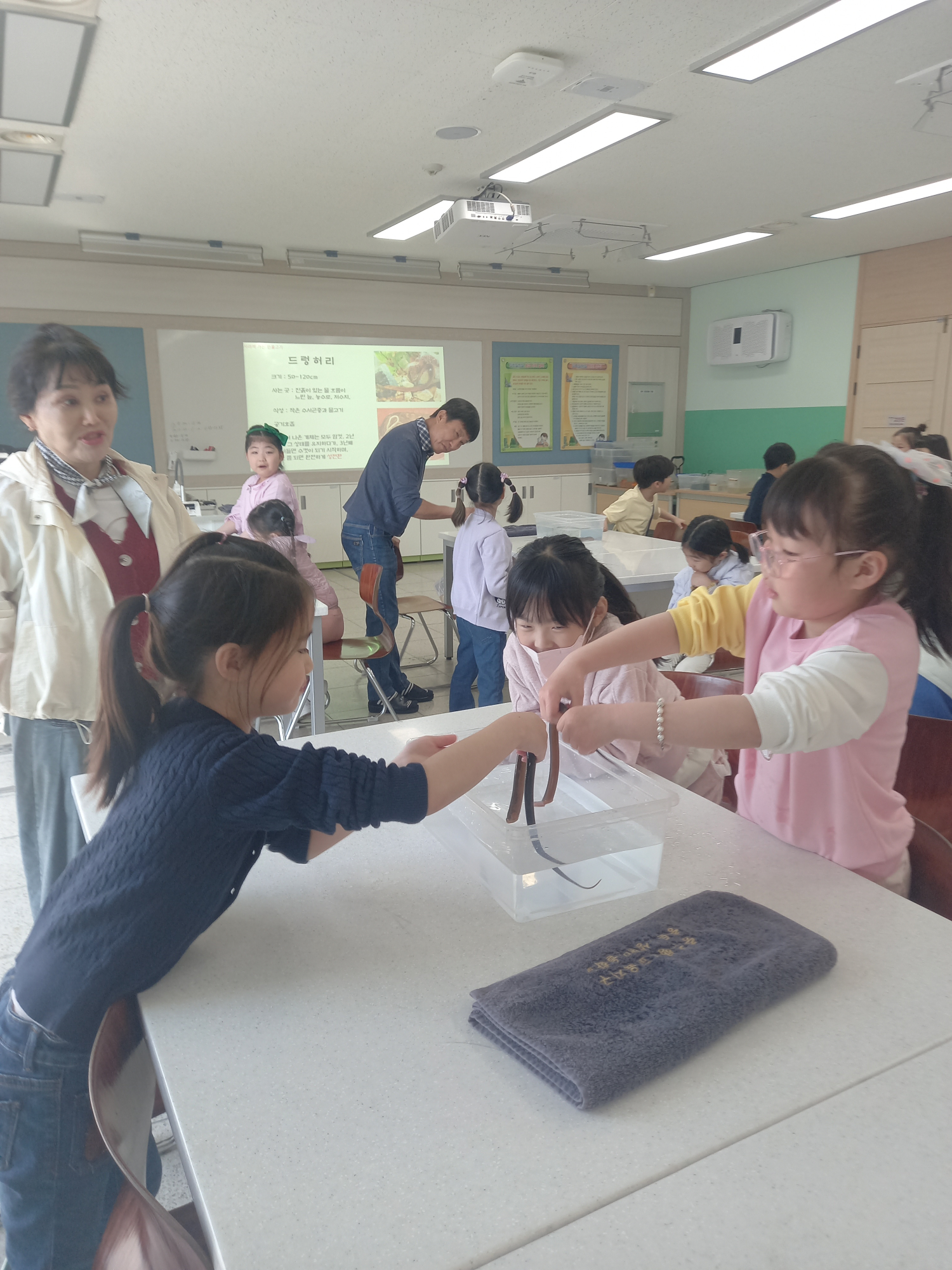 수생태 (12)