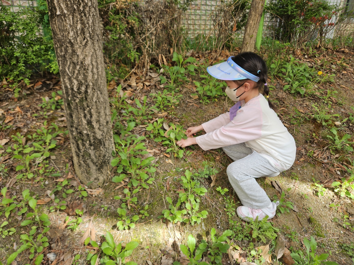 숲체험 (6)