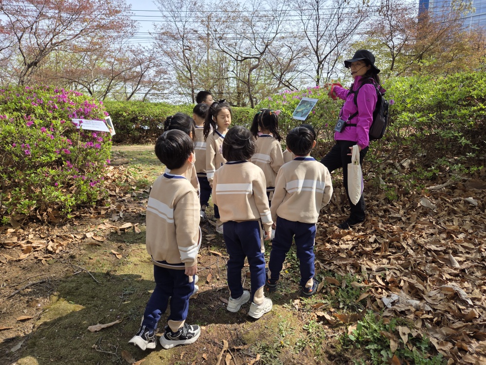 img (16)