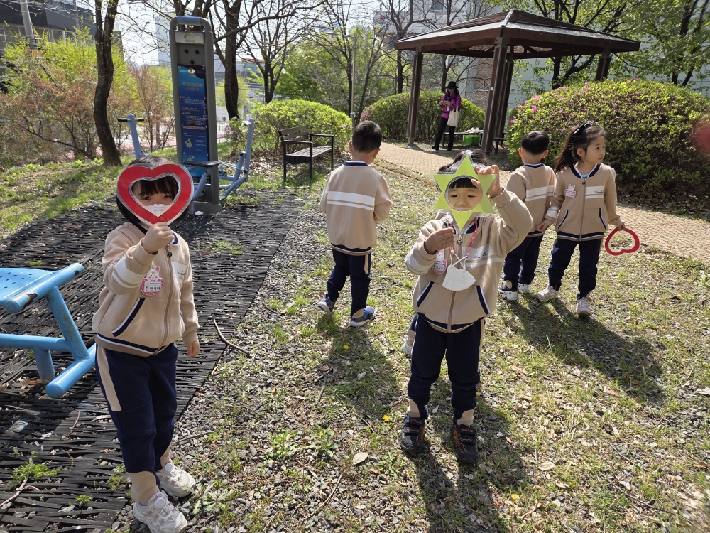 img (11)