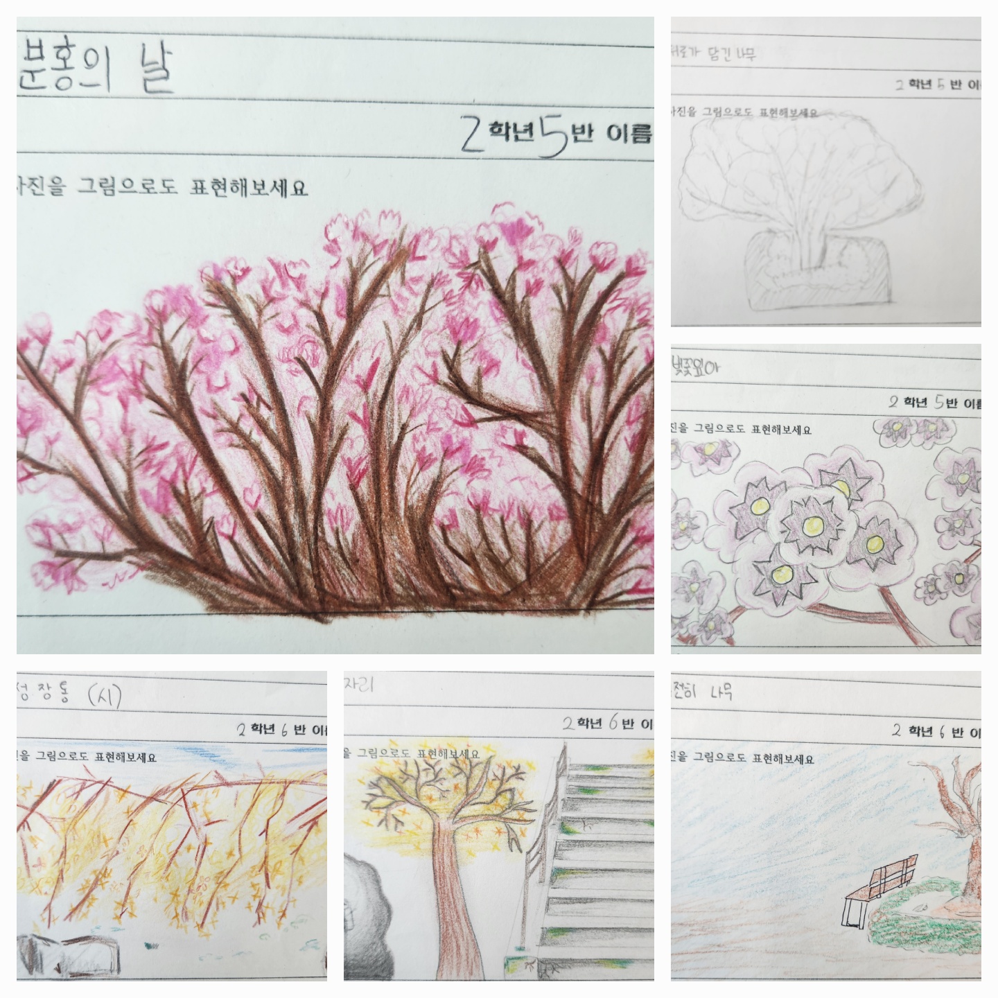 KakaoTalk_20250427_065823790
