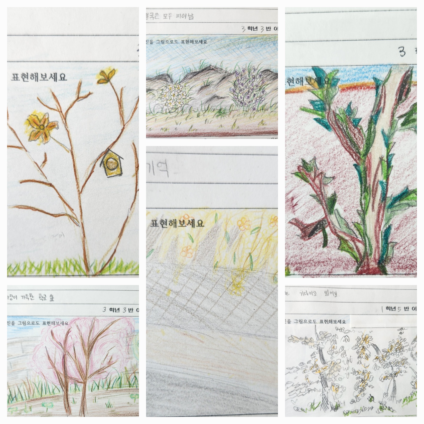 KakaoTalk_20250427_065117325