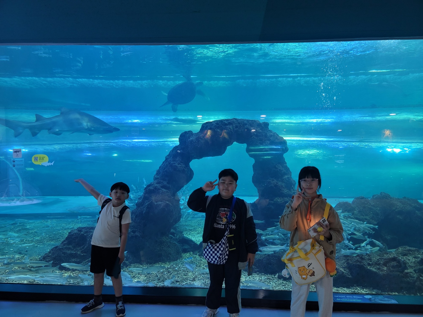 KakaoTalk_20250424_125703021_02.jpg