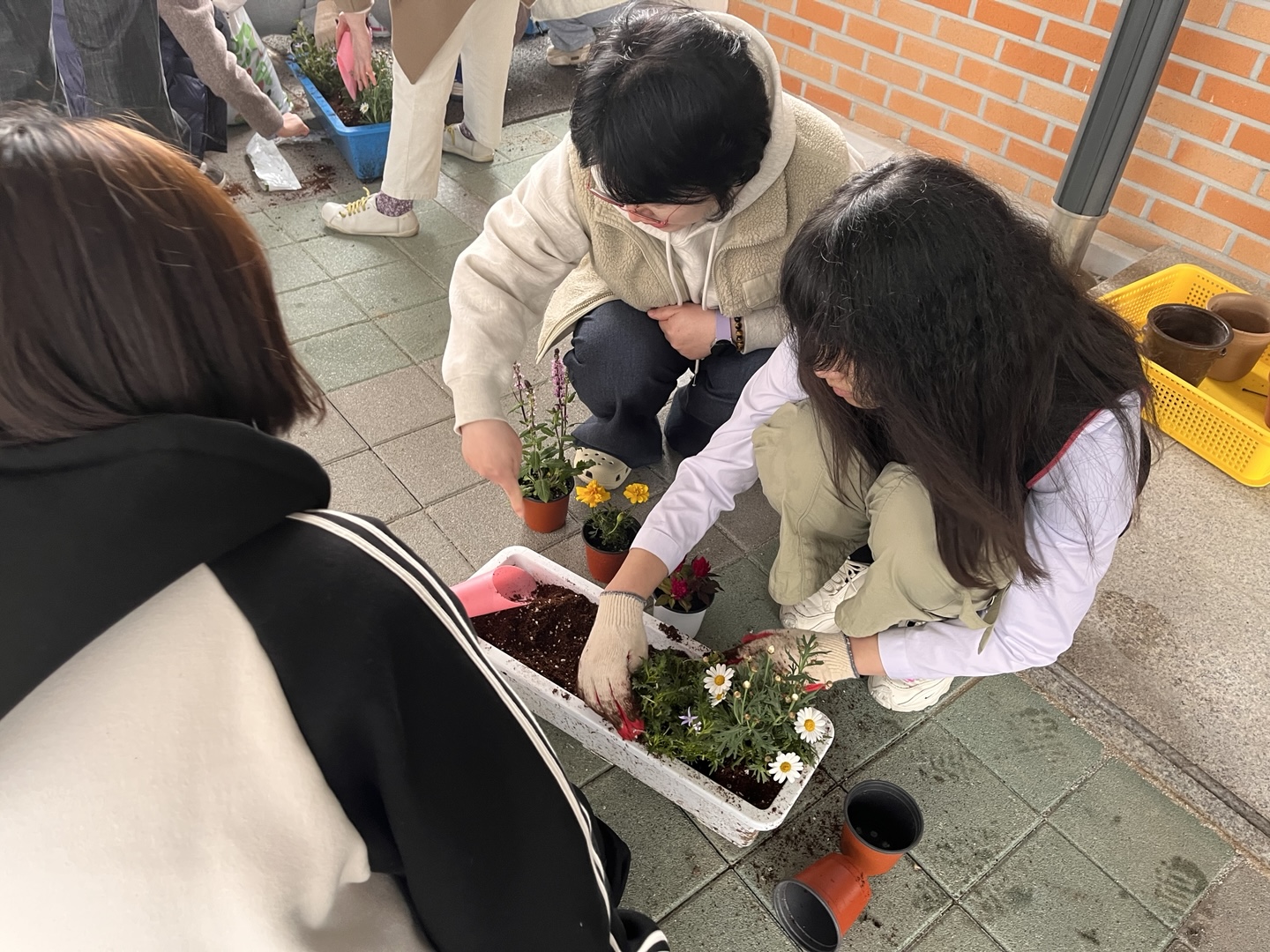 KakaoTalk_20250416_091807530_01