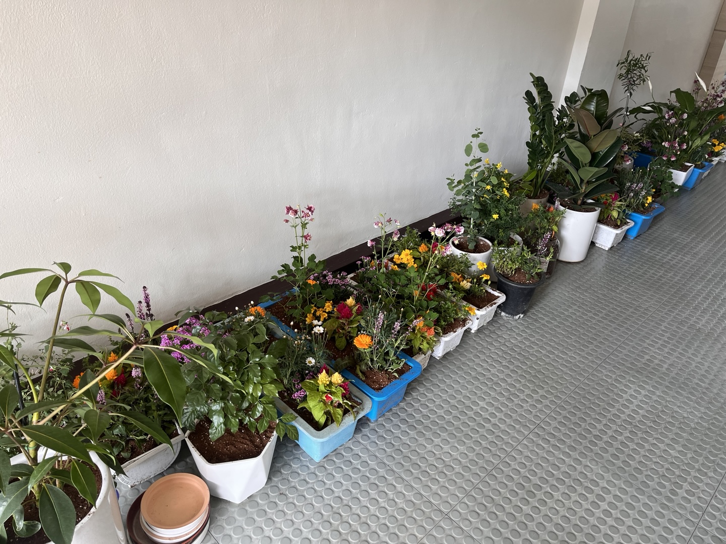 KakaoTalk_20250416_091807530_04