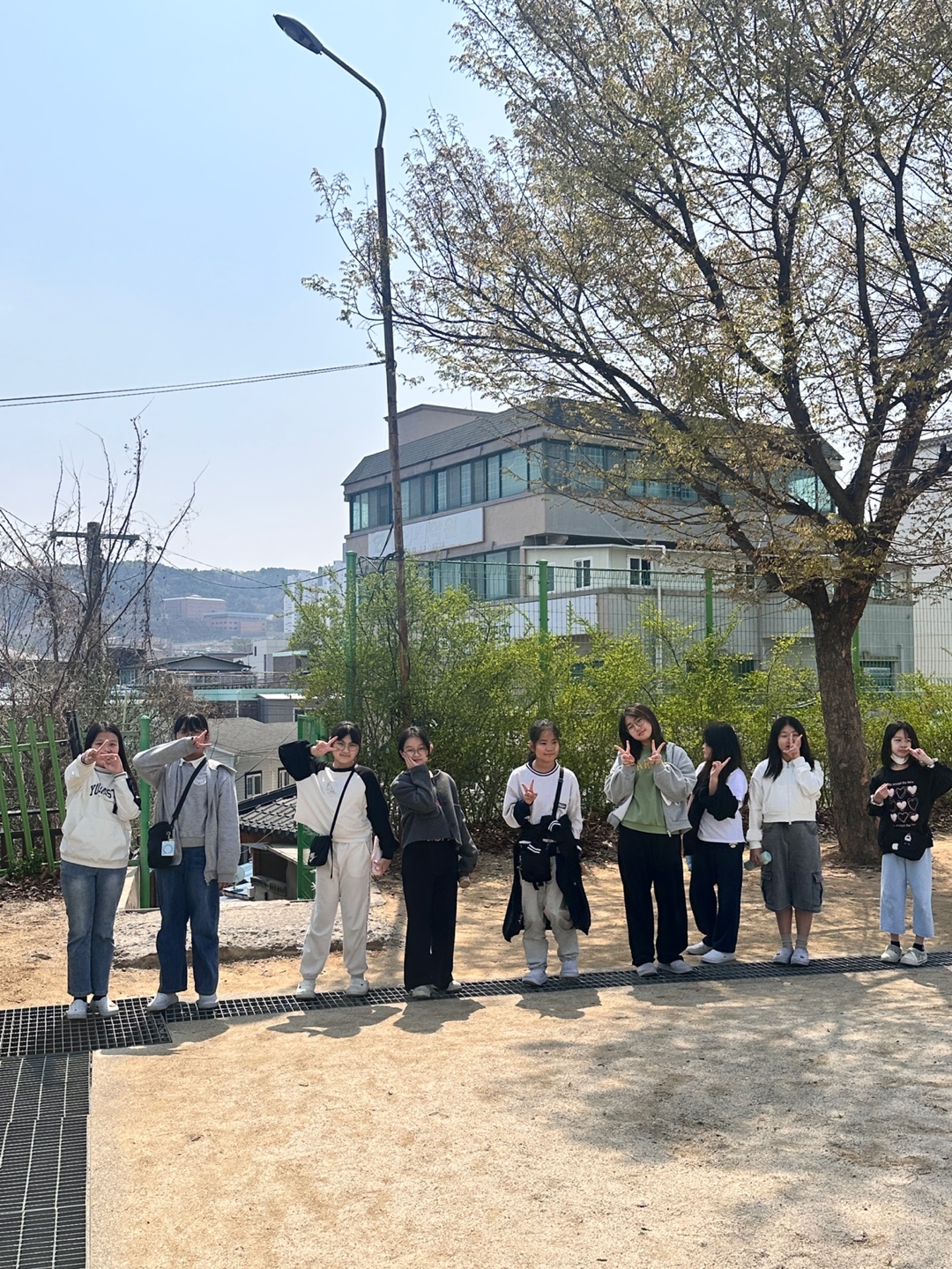 벚꽃풍경 (15)