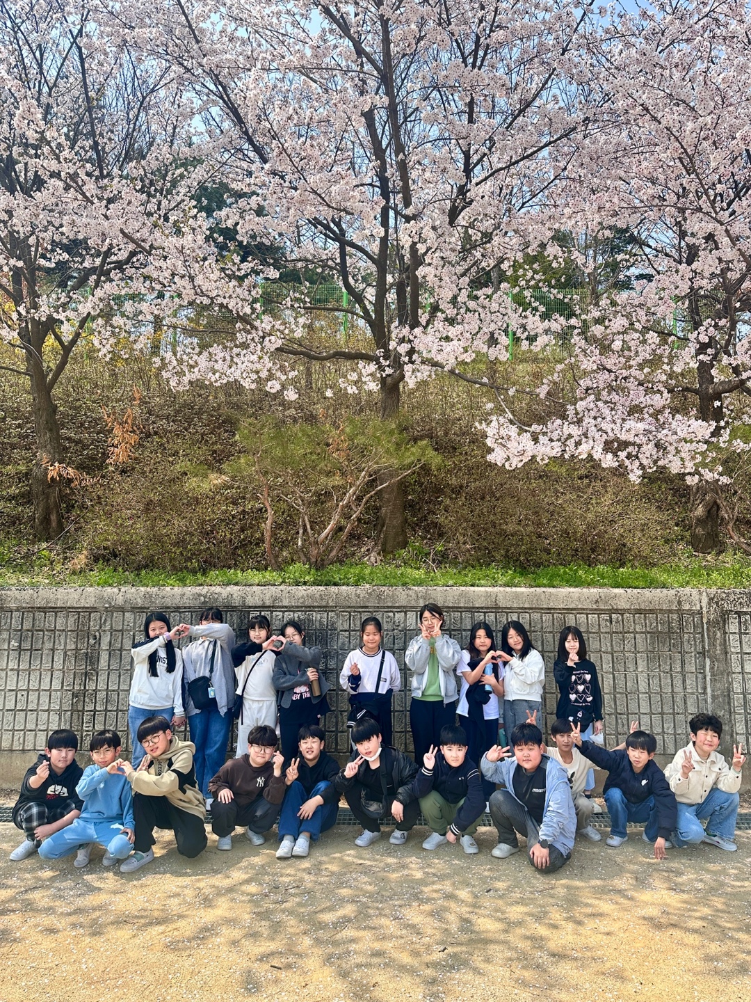 벚꽃풍경 (10)