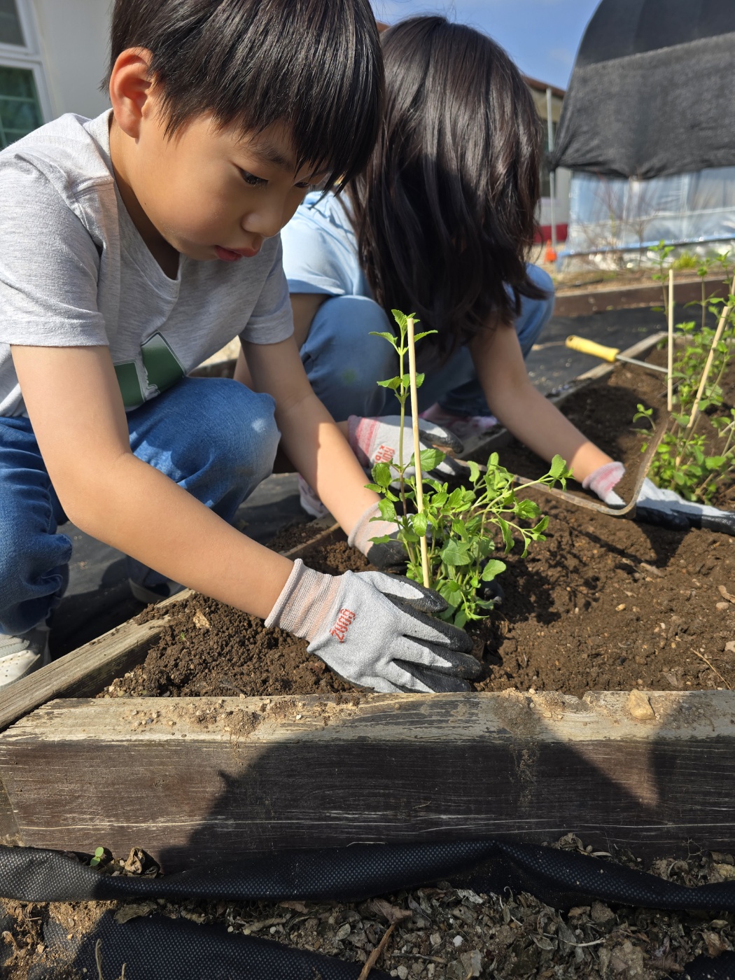 KakaoTalk_20250424_103922366_06