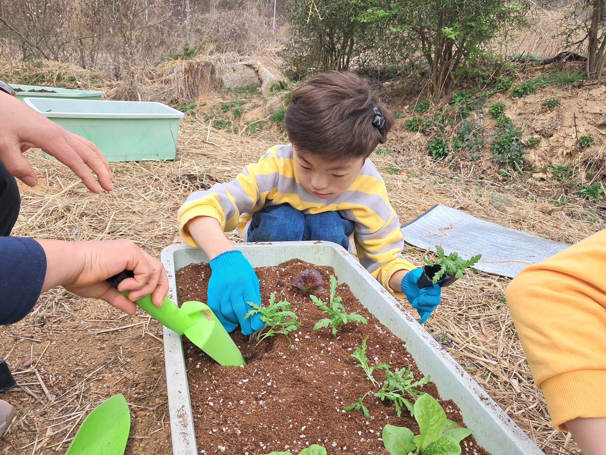 5학년