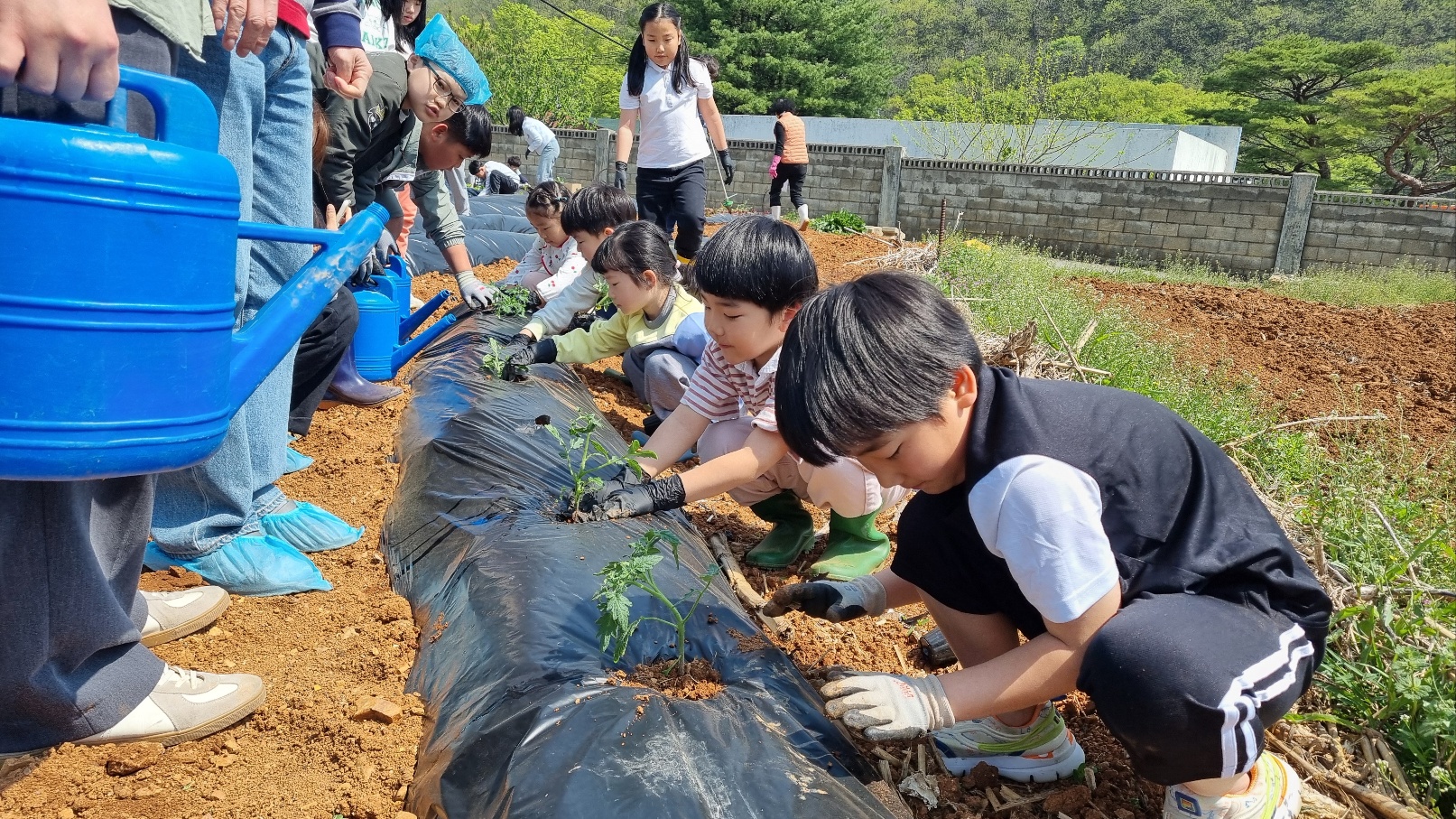 KakaoTalk_20250425_110601408_01.jpg