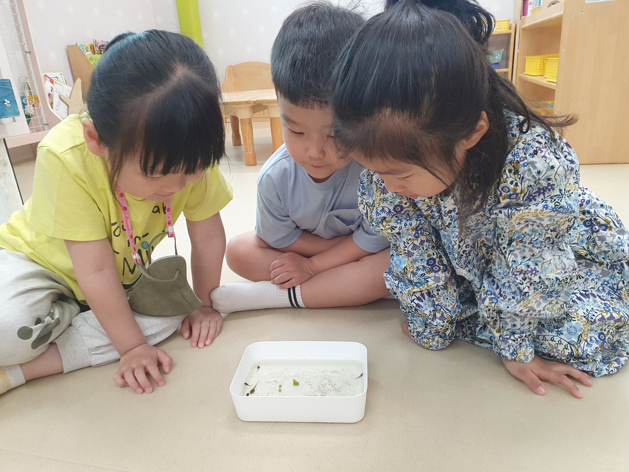KakaoTalk_20250423_140519515_12