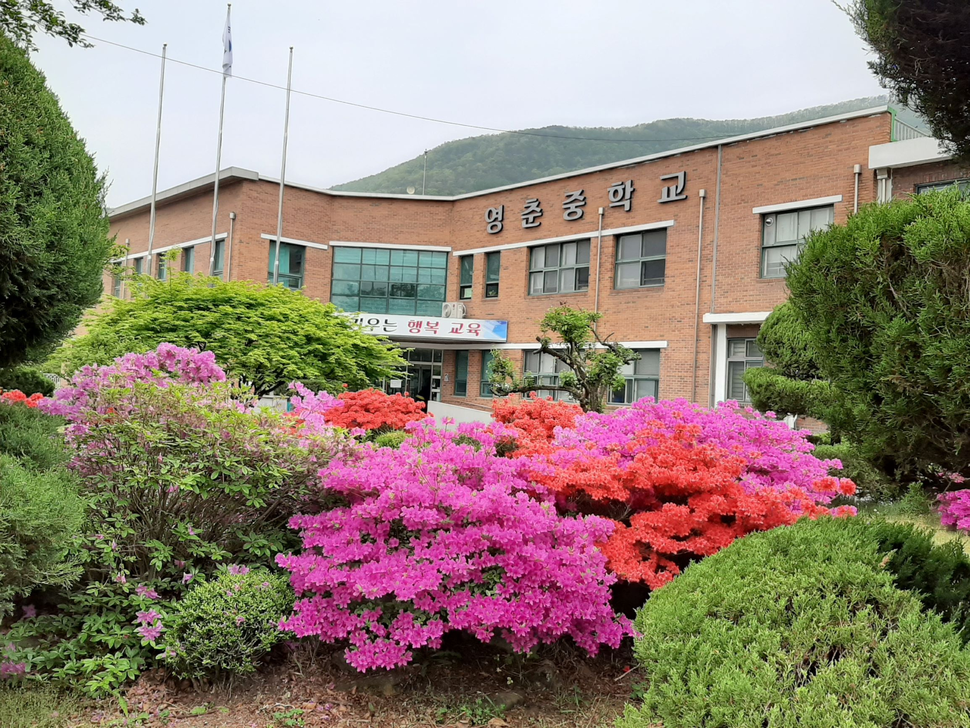 영춘중학교