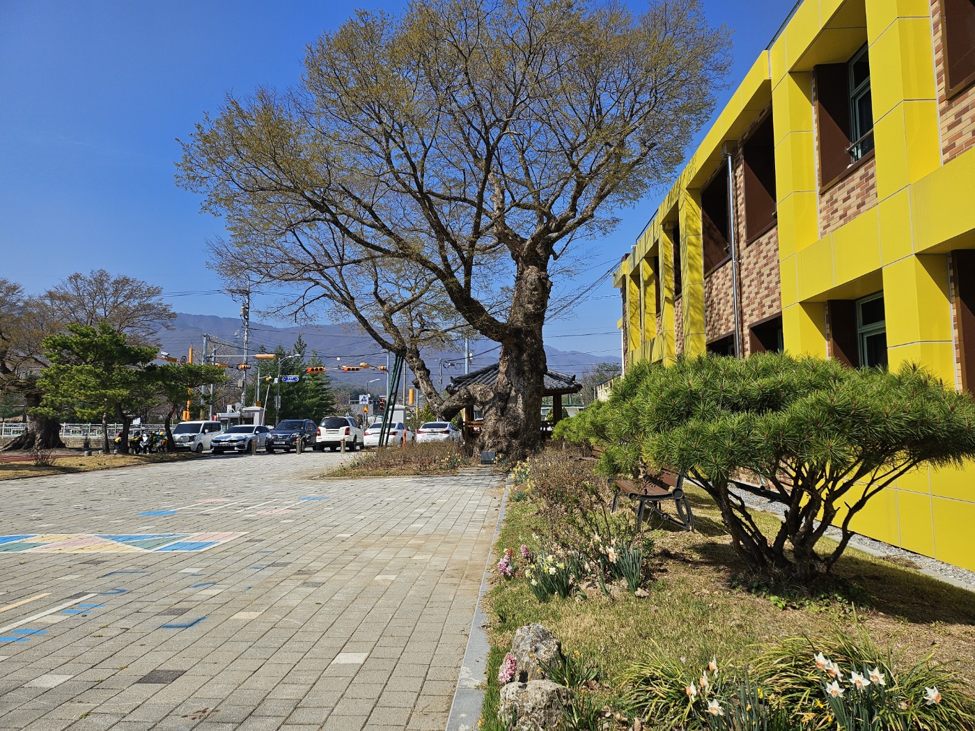 KakaoTalk_20250411_102431970_01
