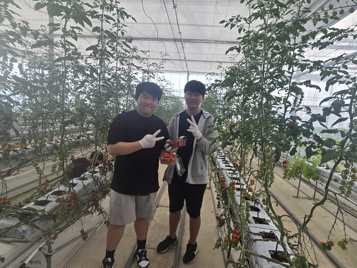 KakaoTalk_20250521_111059659_14