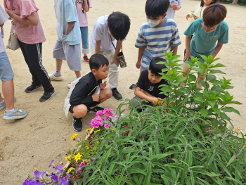 KakaoTalk_20250523_120246833_05.jpg