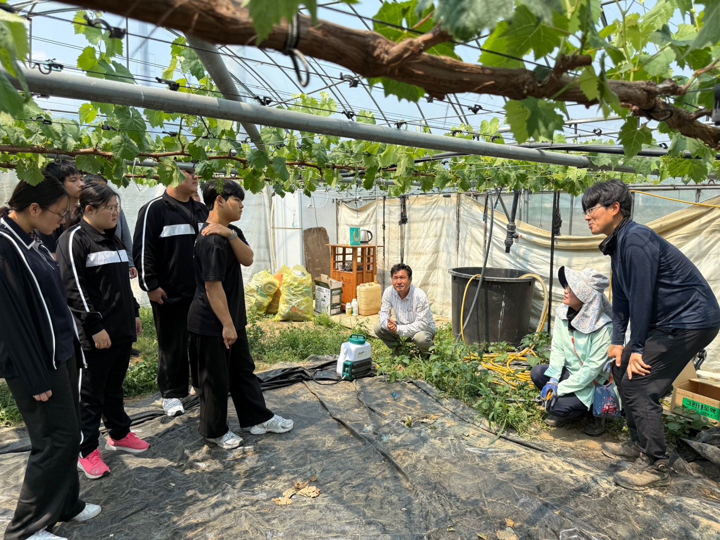 KakaoTalk_20250529_195129281_06