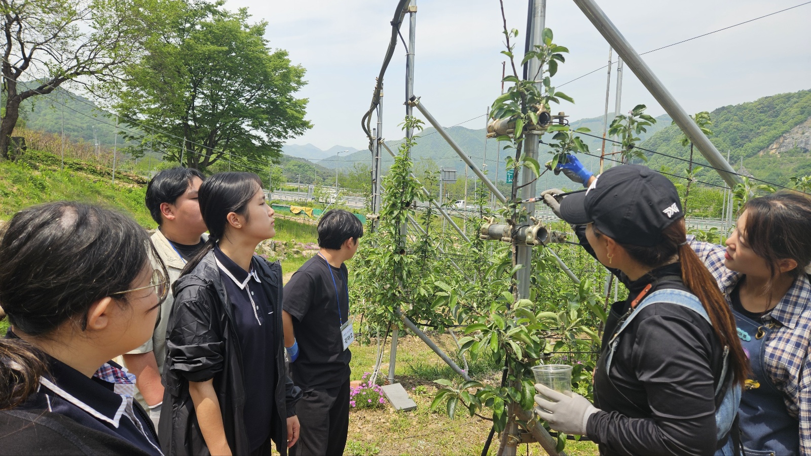 KakaoTalk_20250519_092849445_04