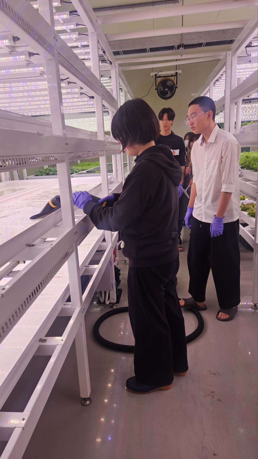 KakaoTalk_20250520_151443674_04