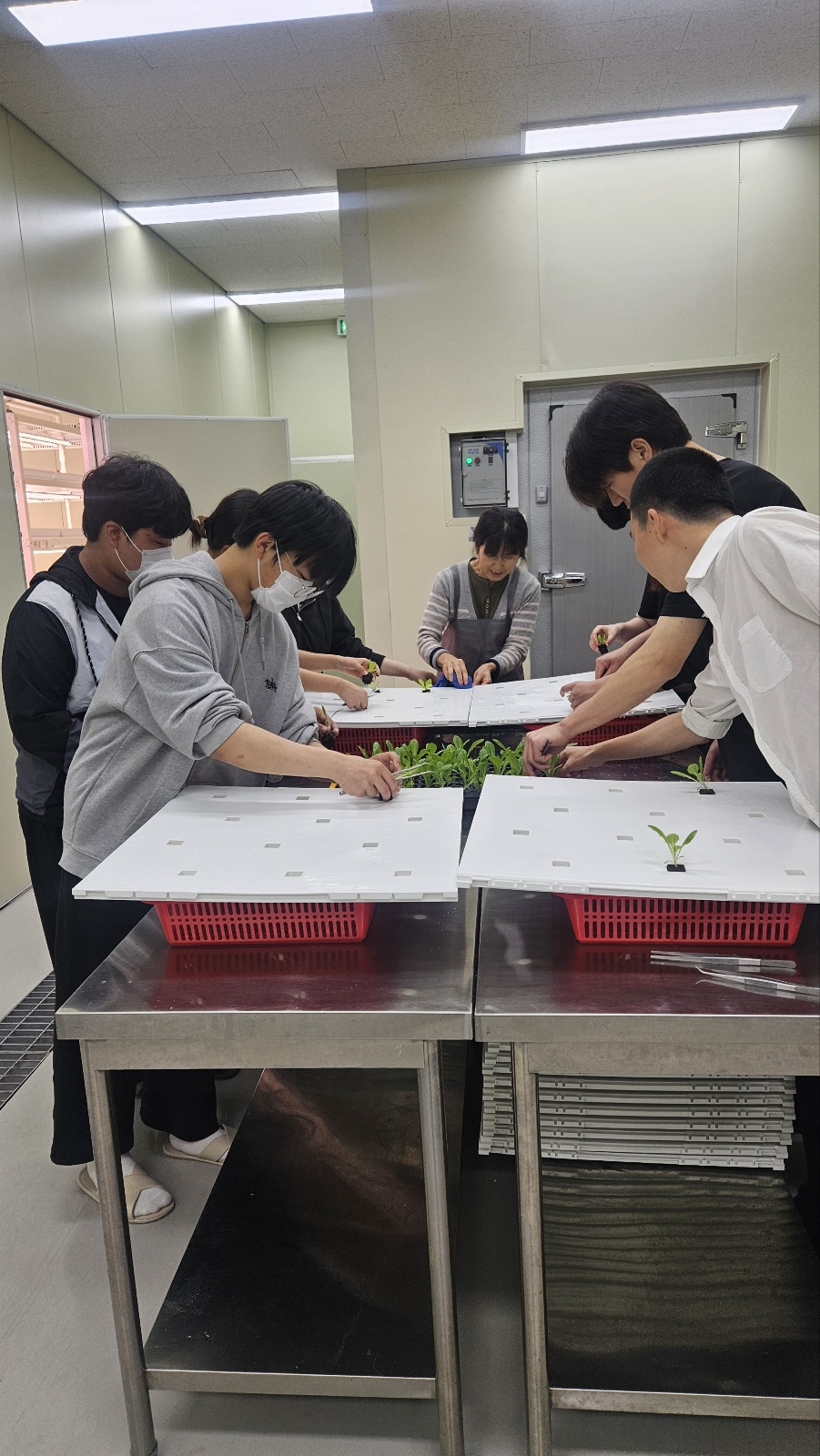 KakaoTalk_20250522_144812493_18