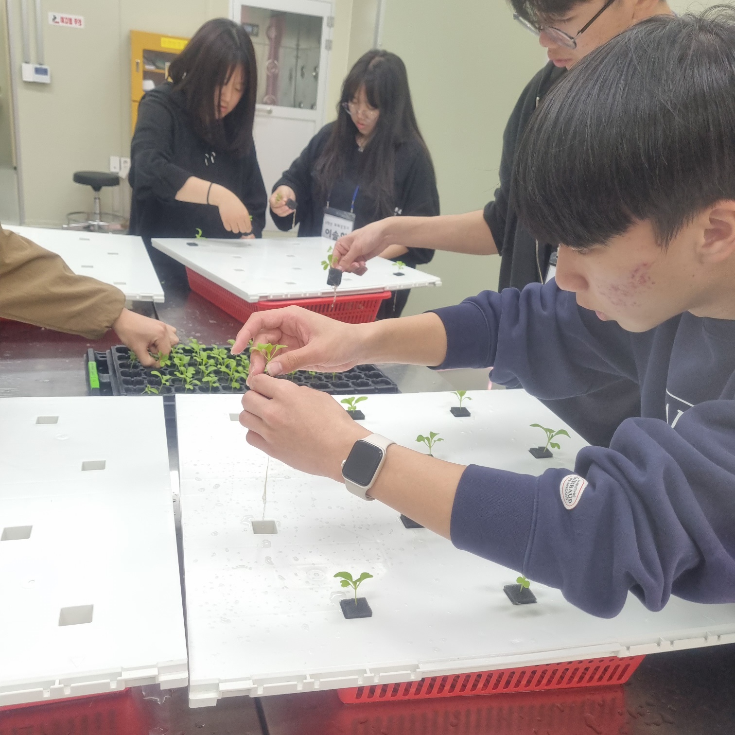 KakaoTalk_20250514_190658760_06