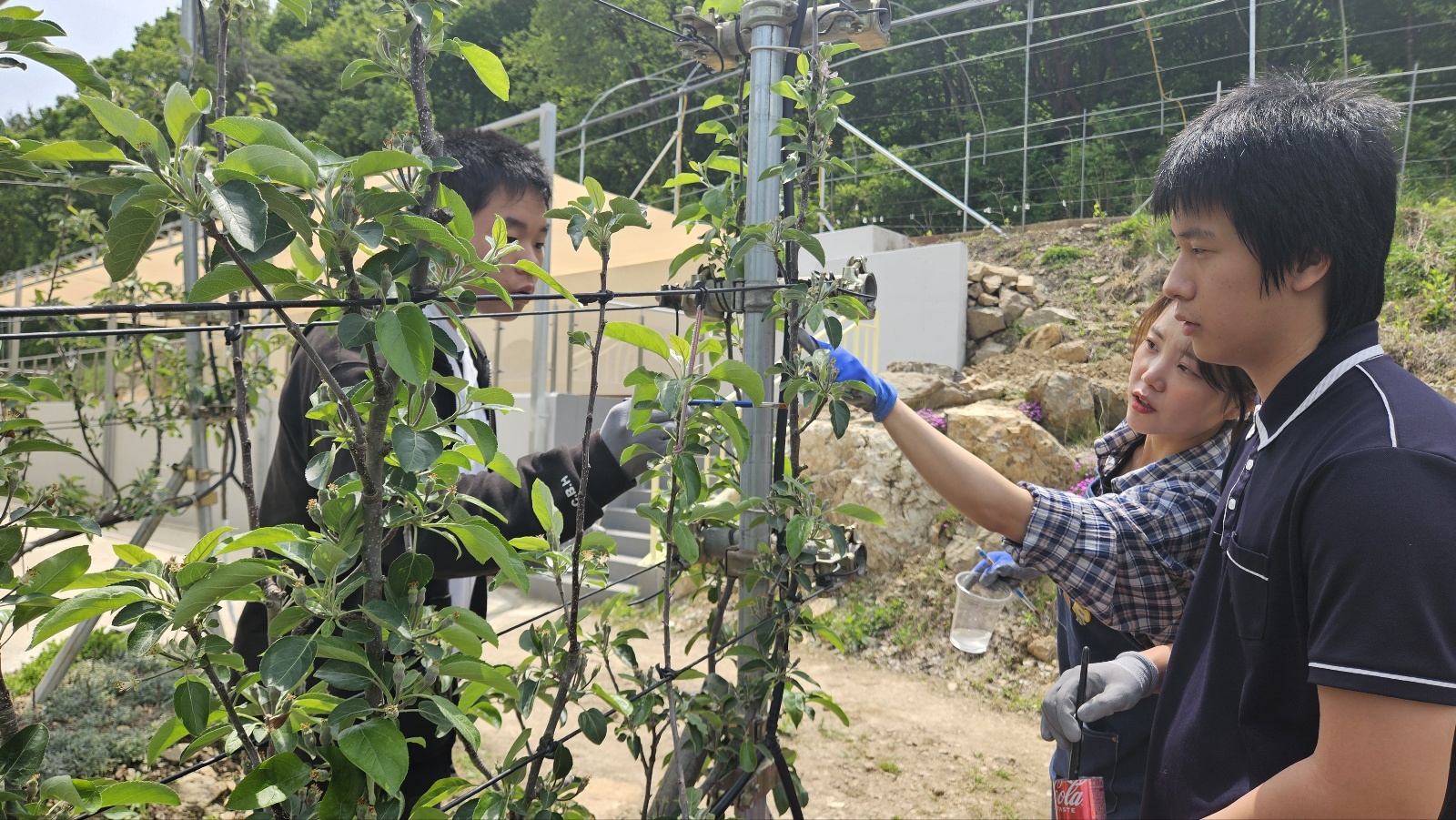 KakaoTalk_20250519_092849445_03