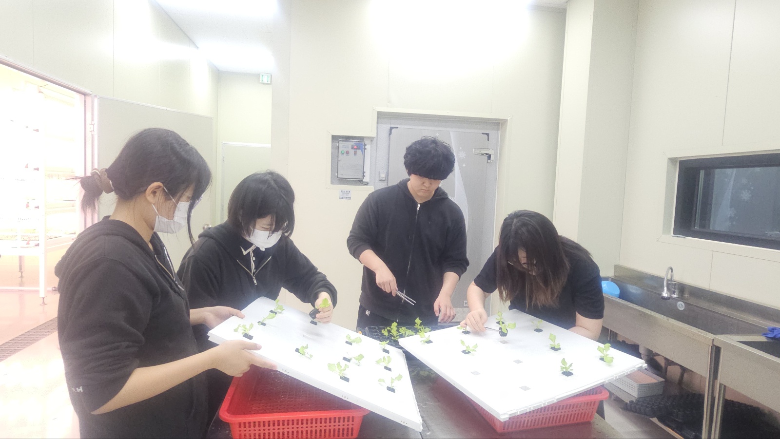 KakaoTalk_20250522_144812493_09