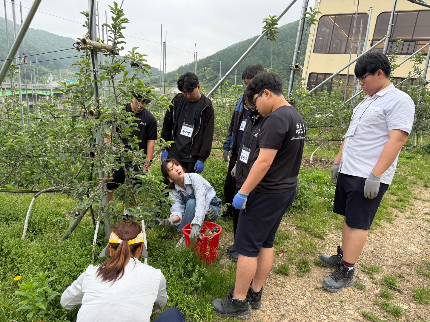 KakaoTalk_20250522_202508841_04