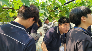 KakaoTalk_20250529_194813987.jpg
