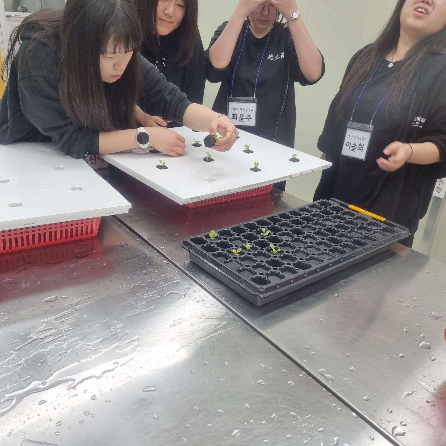 KakaoTalk_20250514_190658760_13