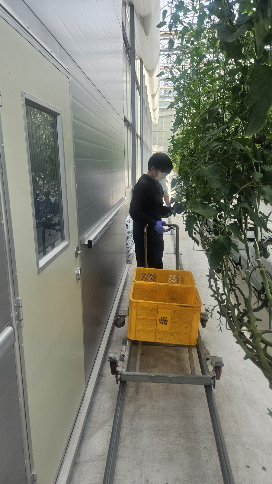 KakaoTalk_20250521_143857331_06