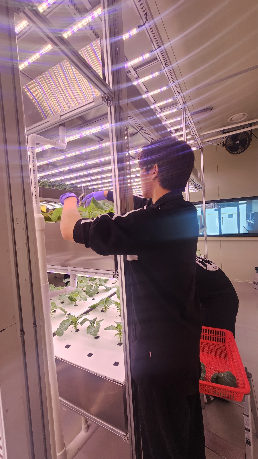 KakaoTalk_20250520_151443674_03