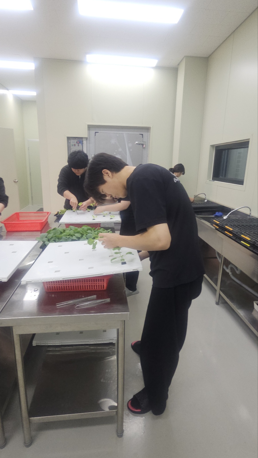 KakaoTalk_20250522_144812493_10