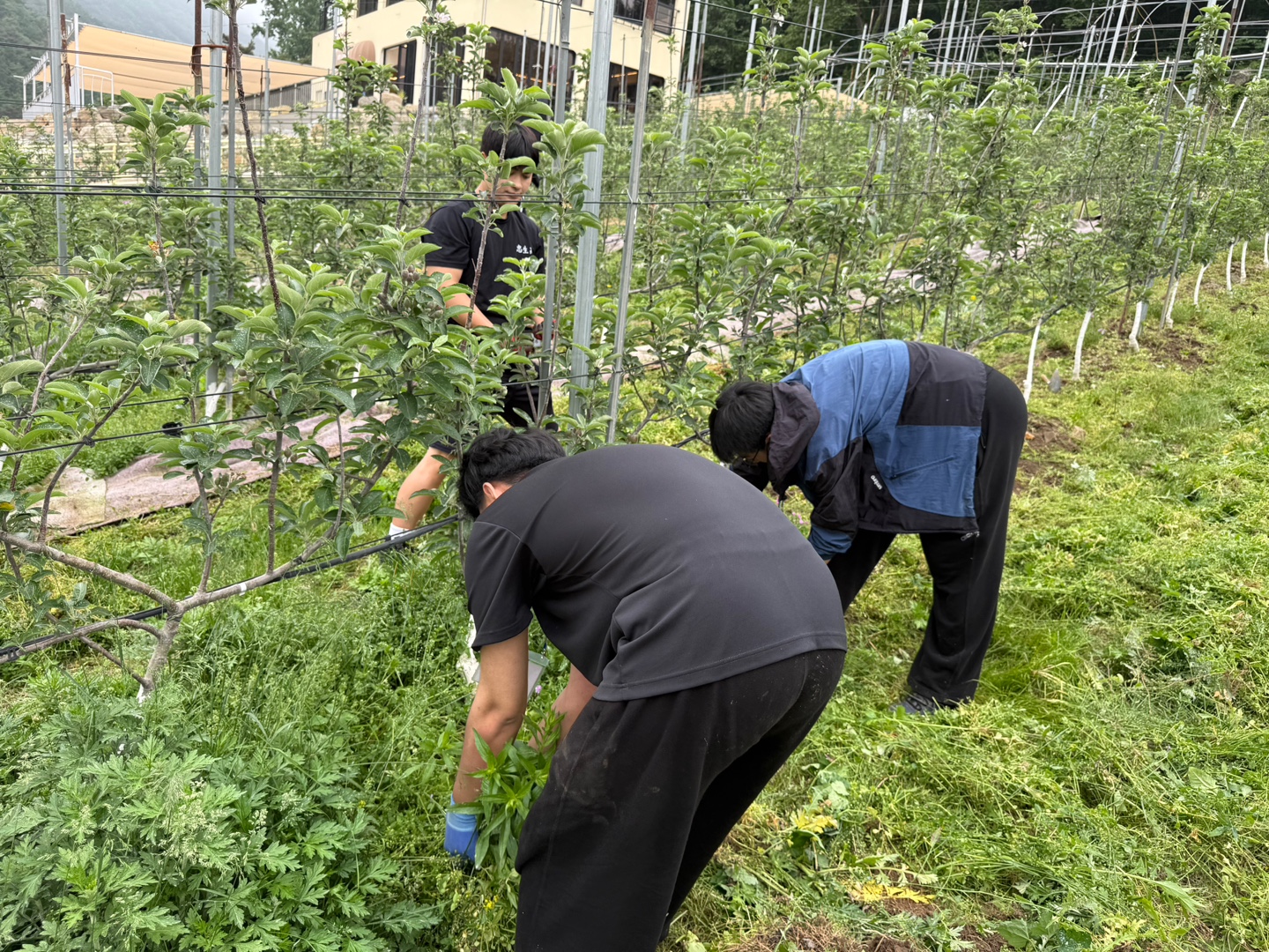KakaoTalk_20250522_202508841_02