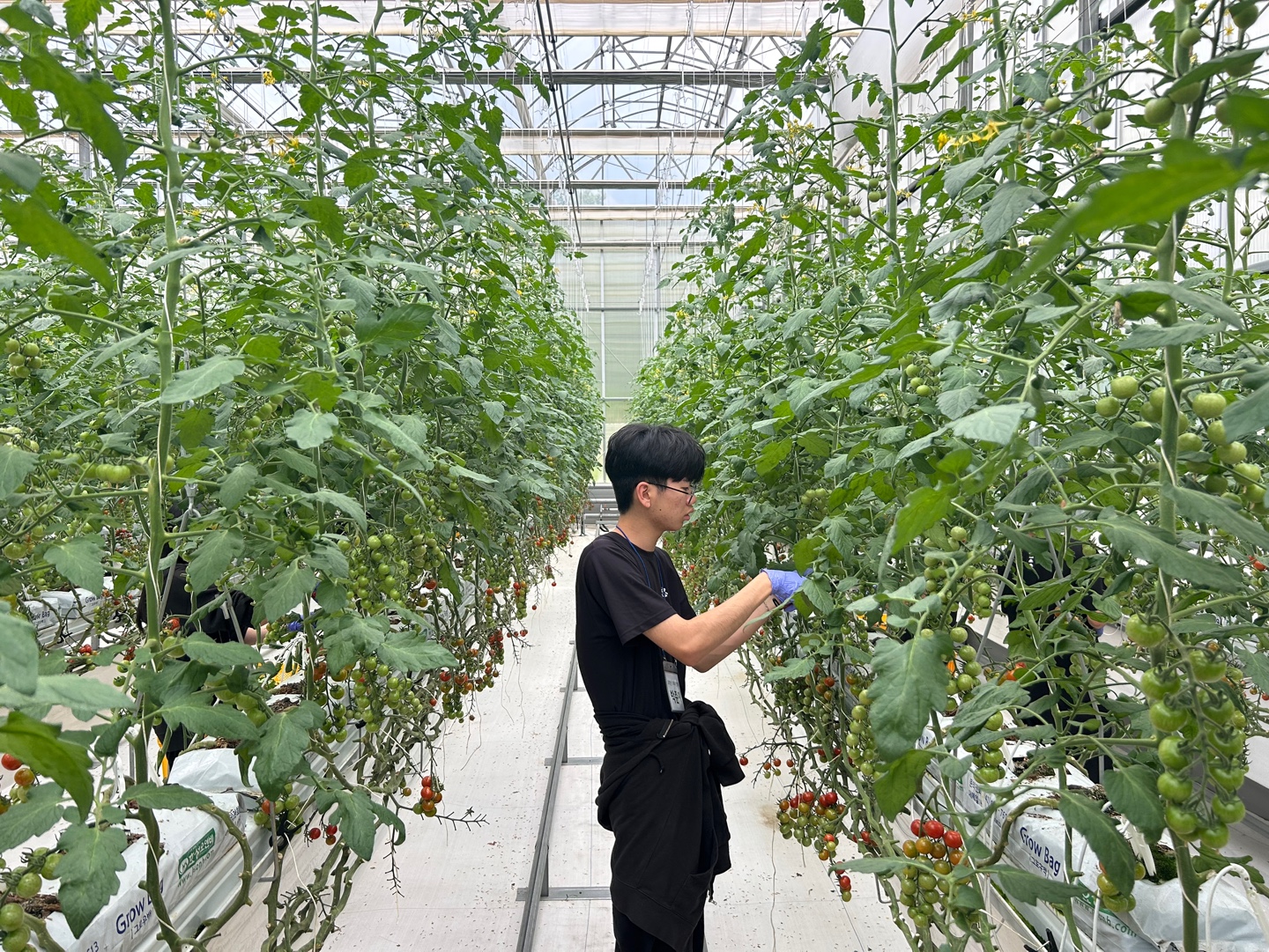 KakaoTalk_20250515_150735127_05