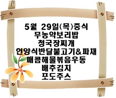 20250529 - 식단명(중)