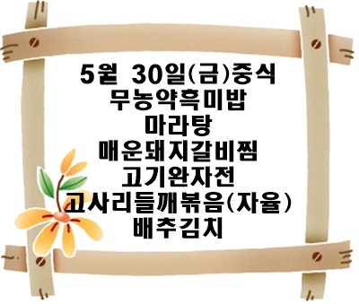 20250530 - 식단명(중)