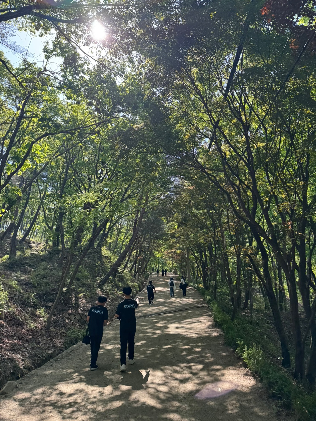 KakaoTalk_20250529_130840345_01