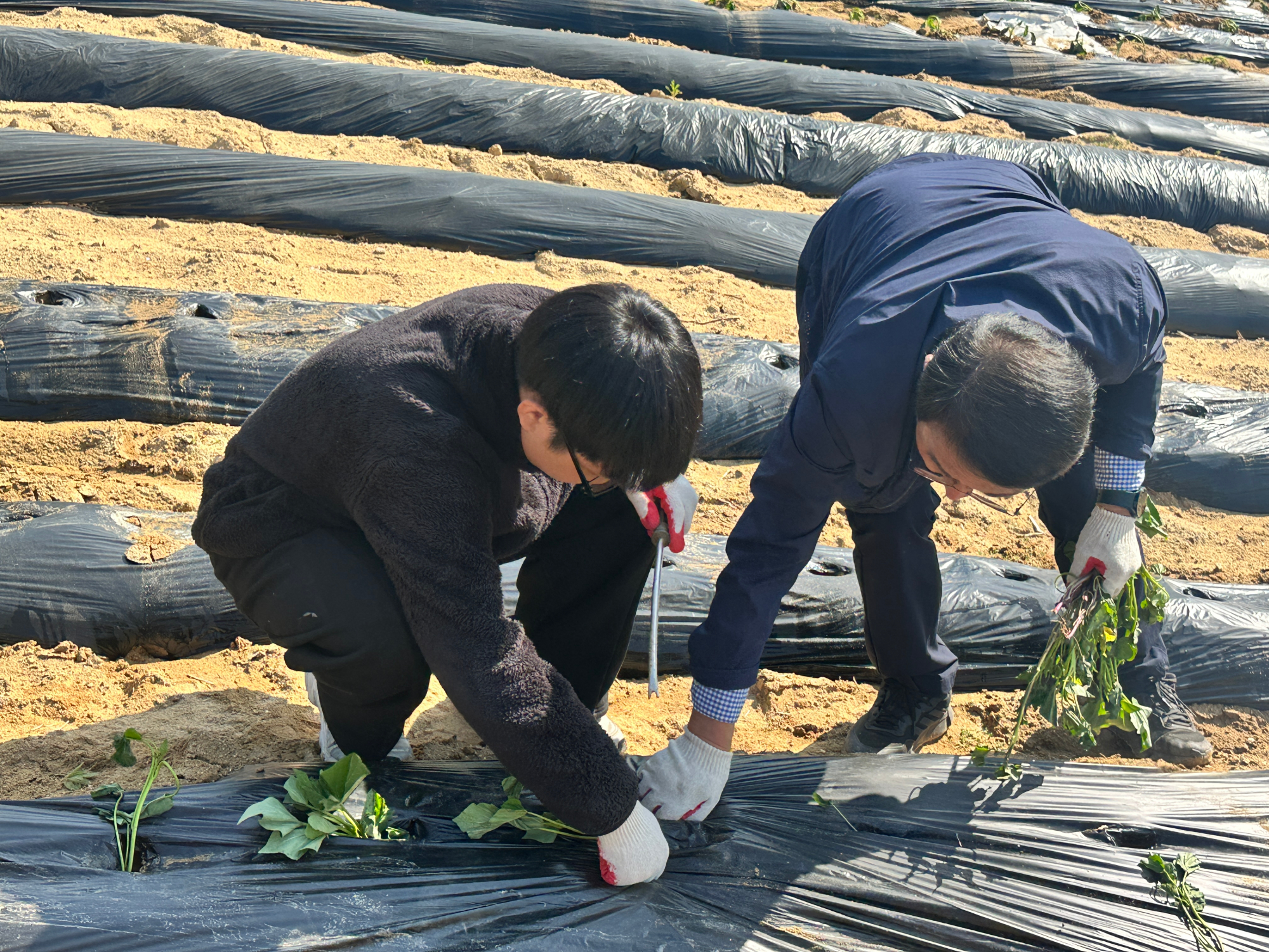 KakaoTalk_20250508_132424138_24