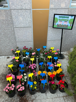 KakaoTalk_20250501_085724981_05.jpg