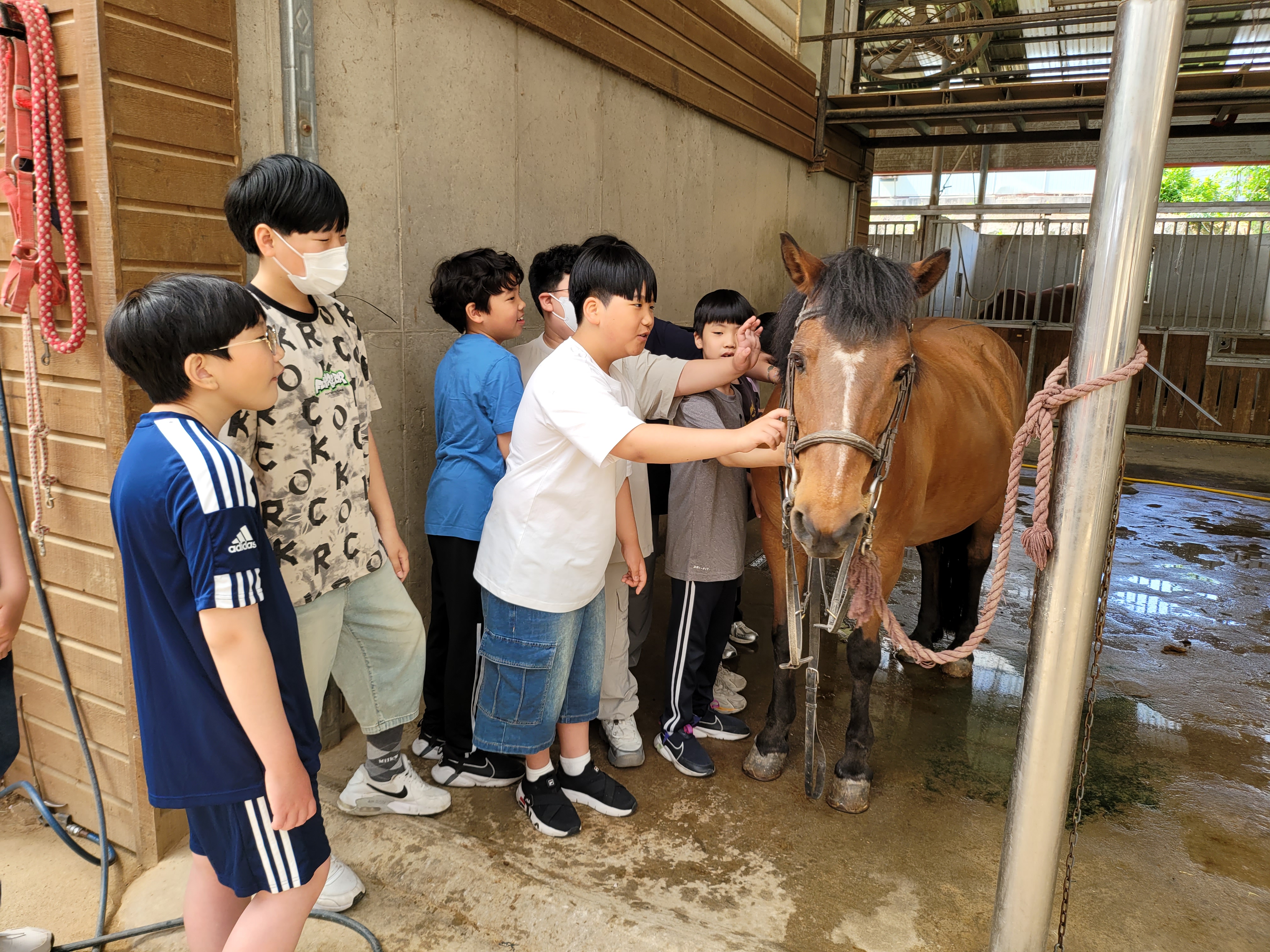 승마체험 (6).jpg