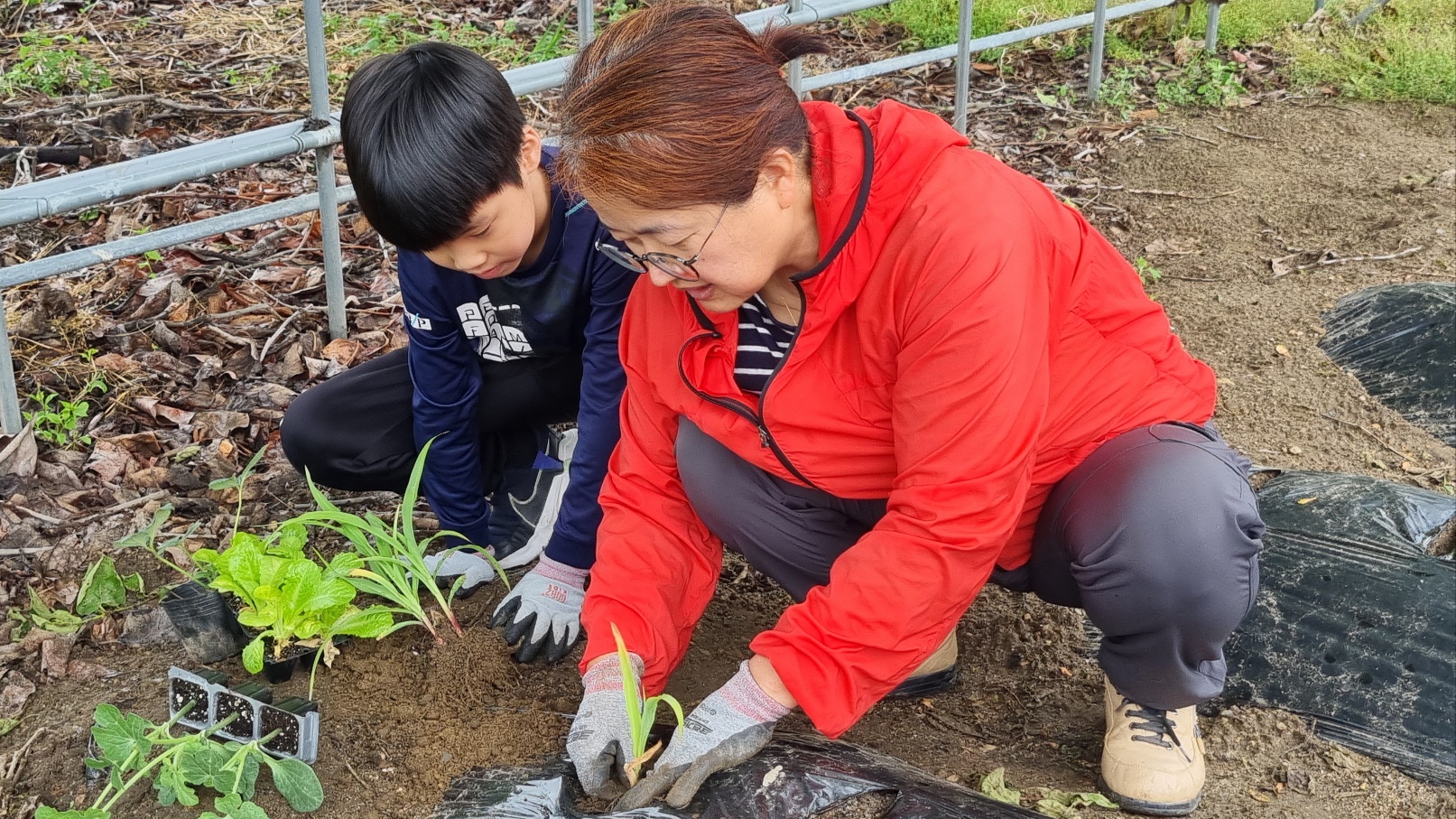 텃밭가꾸기-7.jpg
