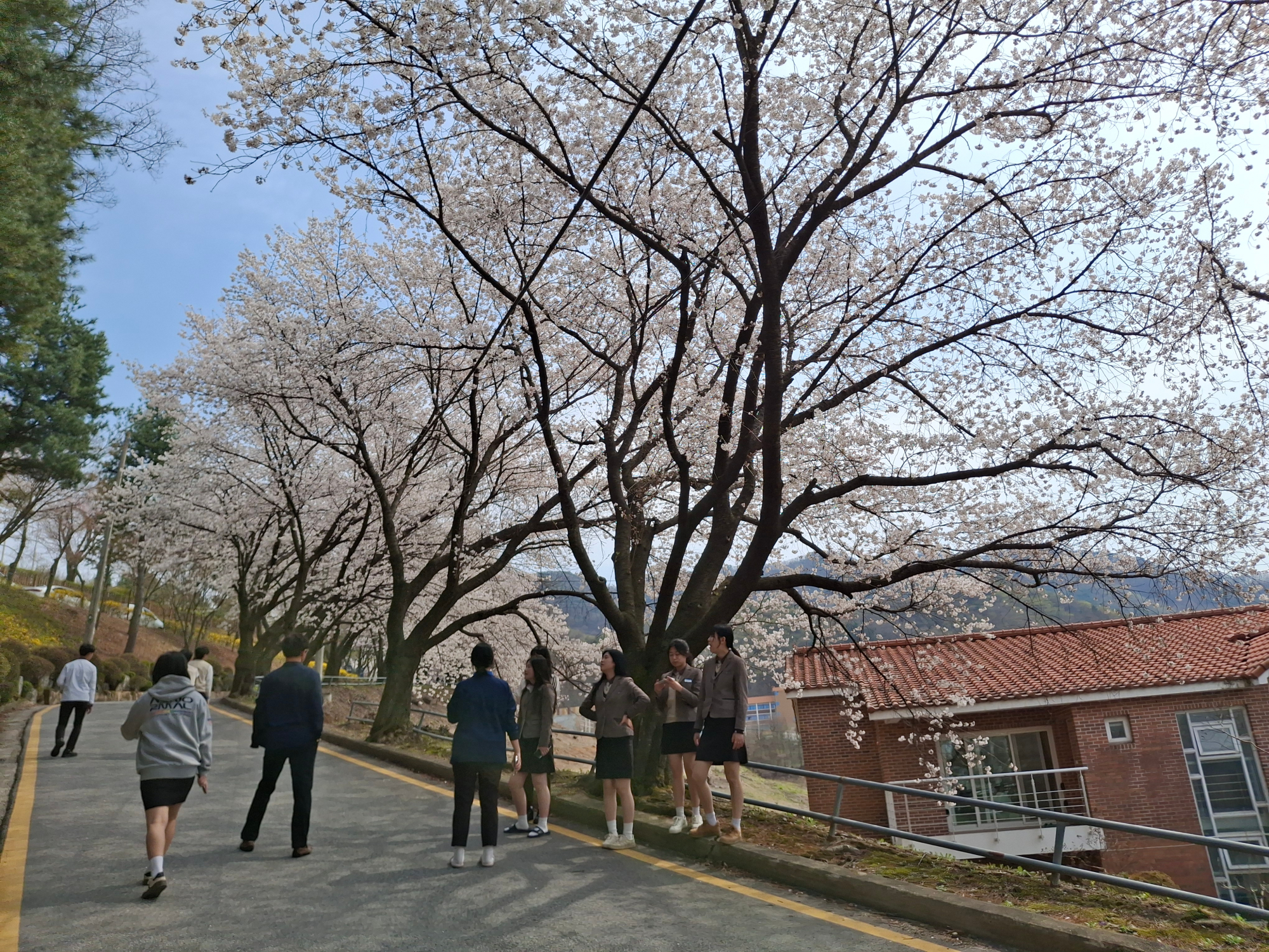KakaoTalk_20250512_083933665_01