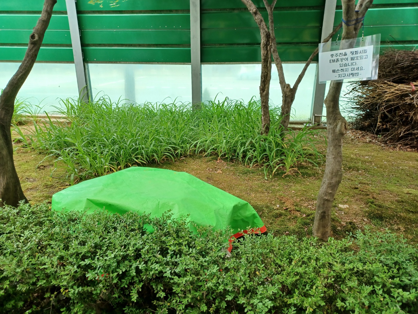 흙공 만들기 2차1.jpg