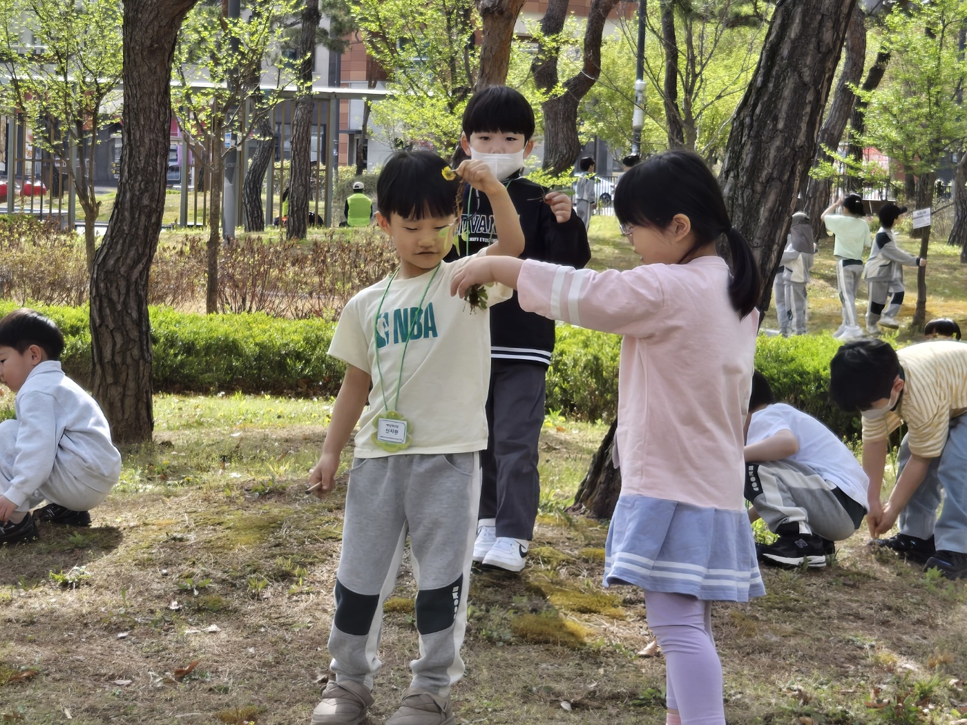img (1)