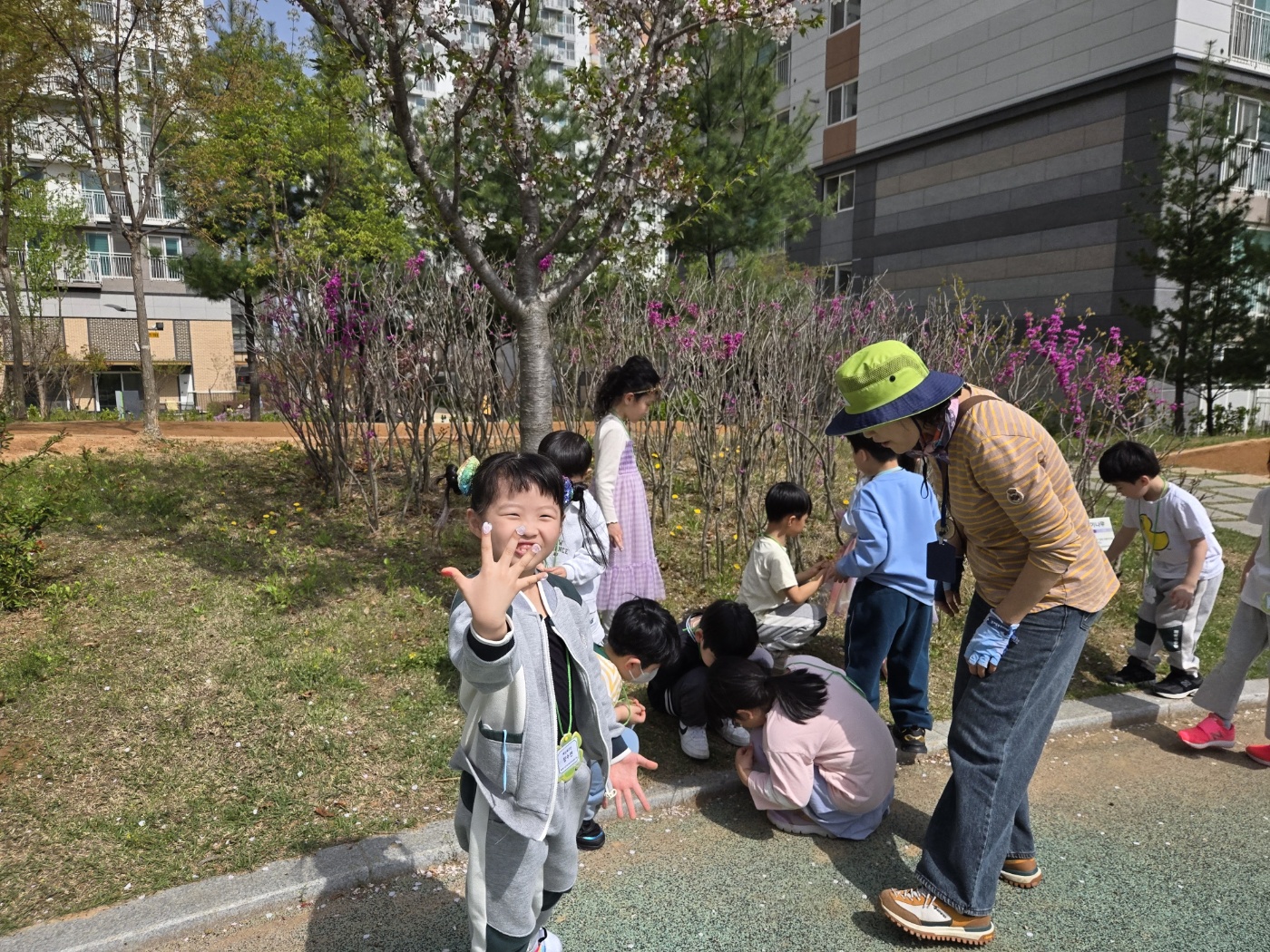 img (6)