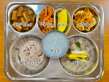 519.jpg