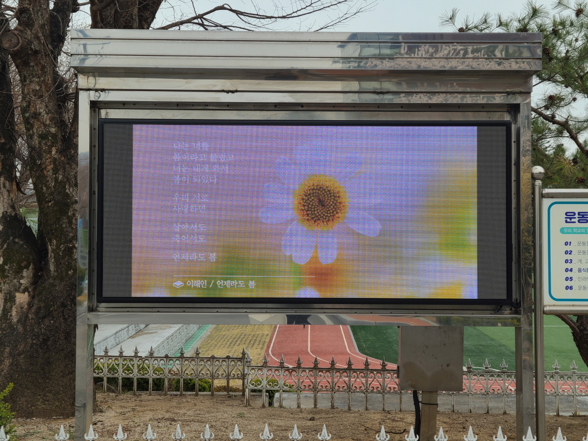 20250409_124257