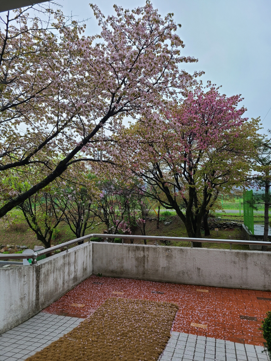 20250422_083202 - 복사본