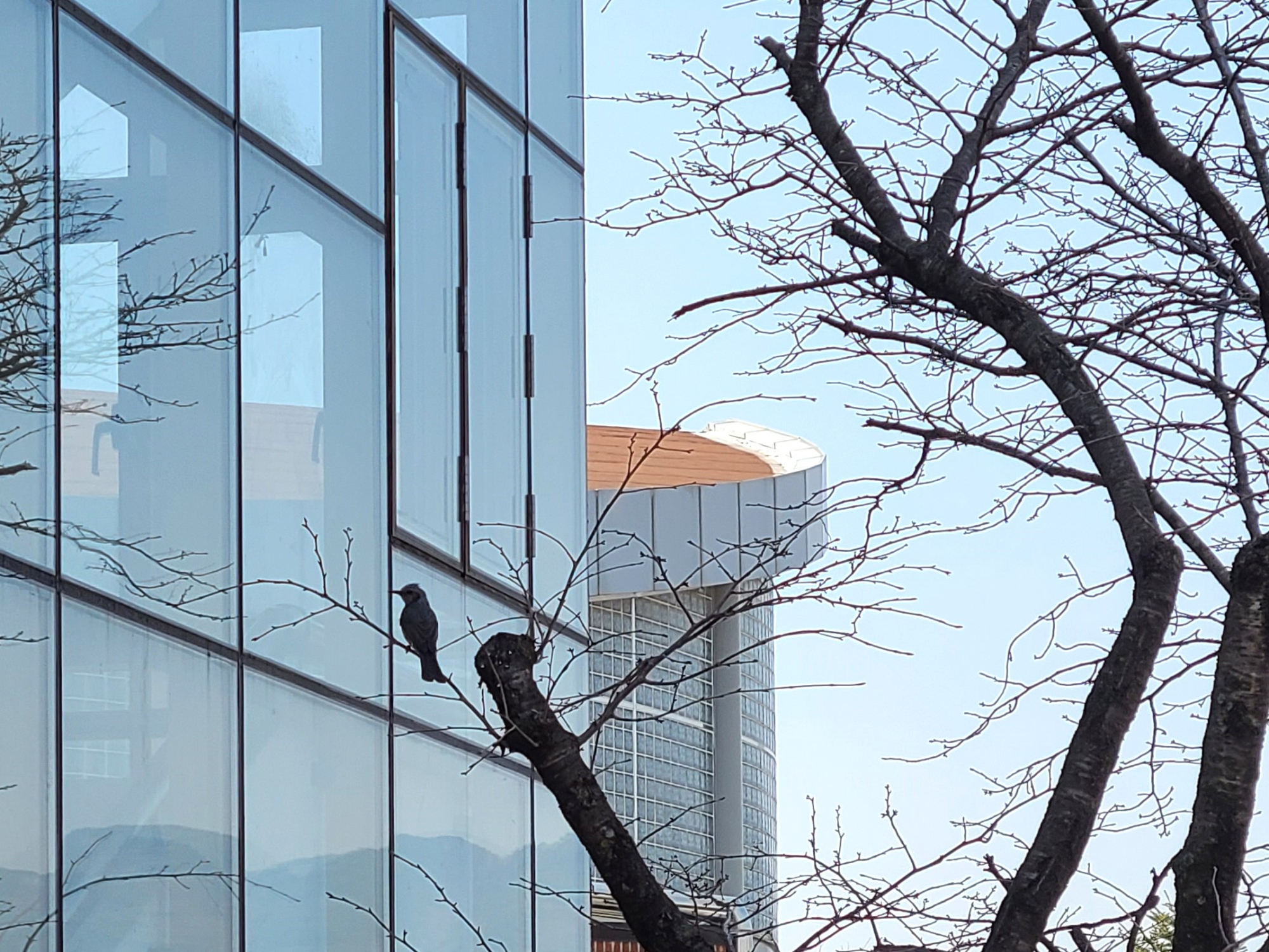 20250321_132930 - 복사본