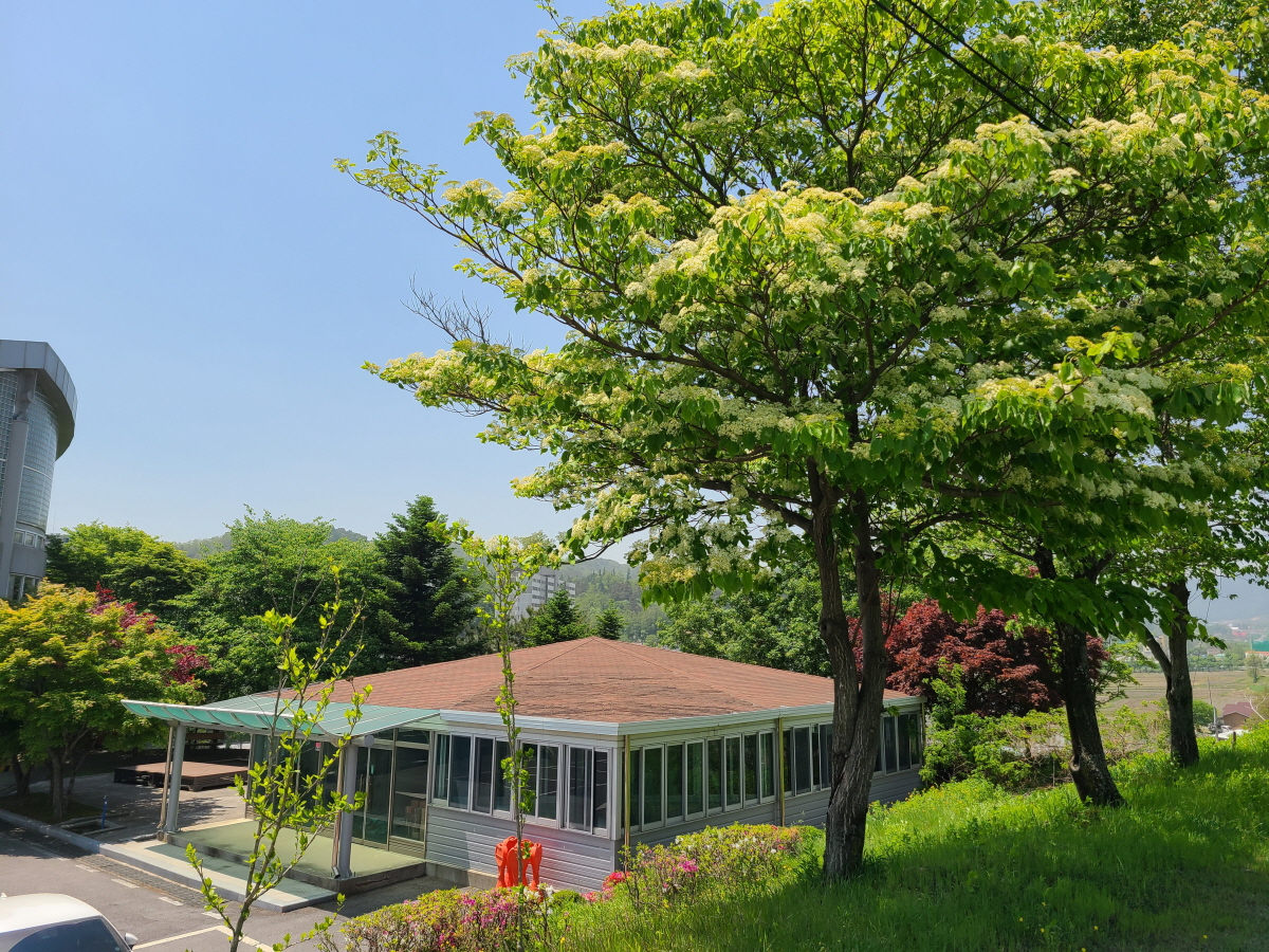 20250512_124117 - 복사본
